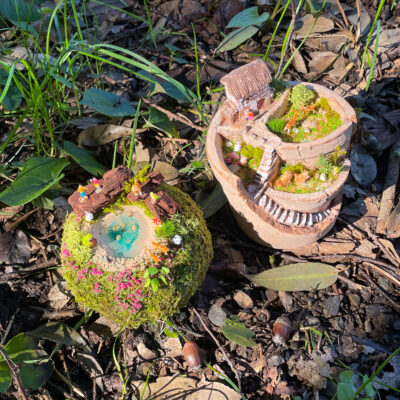 割れ鉢植え-苔玉-はこにわ-箱庭-ミニチュア動物-体験教室-ワークショップ-どんぐりレジン