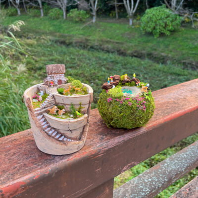 割れ鉢植え-苔玉-はこにわ-箱庭-ミニチュア動物-体験教室-ワークショップ-どんぐりレジン