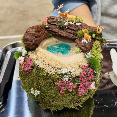 苔玉の箱庭-はこにわ-割れ鉢-ラピュタの世界-ミニチュア動物