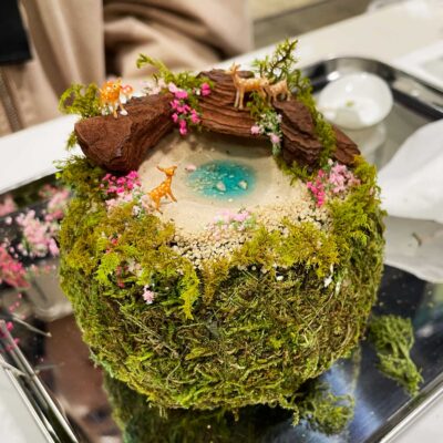 苔玉-はこにわ-箱庭-ミニチュア動物-体験教室-ワークショップ-どんぐりレジン