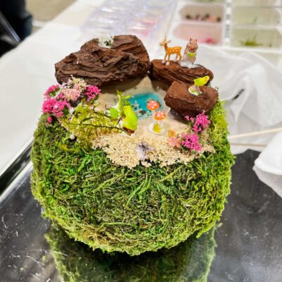 苔玉-はこにわ-箱庭-ミニチュア動物-体験教室-ワークショップ-どんぐりレジン