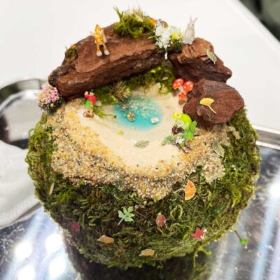 苔玉-はこにわ-箱庭-ミニチュア動物-体験教室-ワークショップ-どんぐりレジン