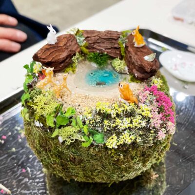 苔玉-はこにわ-箱庭-ミニチュア動物-体験教室-ワークショップ-どんぐりレジン